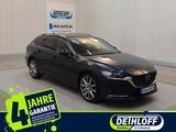 Mazda 6 SK 2.5L SKYACTIV G 194ps 6AT FWD TAKUMI - gebrauchte Mazda 6 aus dem Jahr 2024