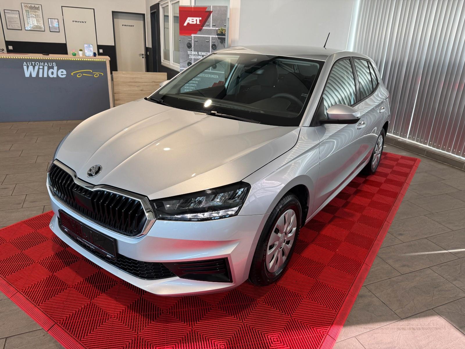 Skoda Fabia LED DAB Tempomat CarPlay