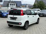 Fiat Panda 1.2 More *1.HAND*TÜV/AU NEU*KLIMA*PDC*TOP - Fiat Panda: 2t