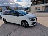 Citroën Grand C4 Picasso/Spacetourer,7 Sitze,Kamera, Nav - weiße Citroën Grand C4 Picasso / SpaceTourer