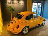 Volkswagen VW 1303 mit 2.4l Type 4 - Volkswagen LT mit Benzin-Antrieb