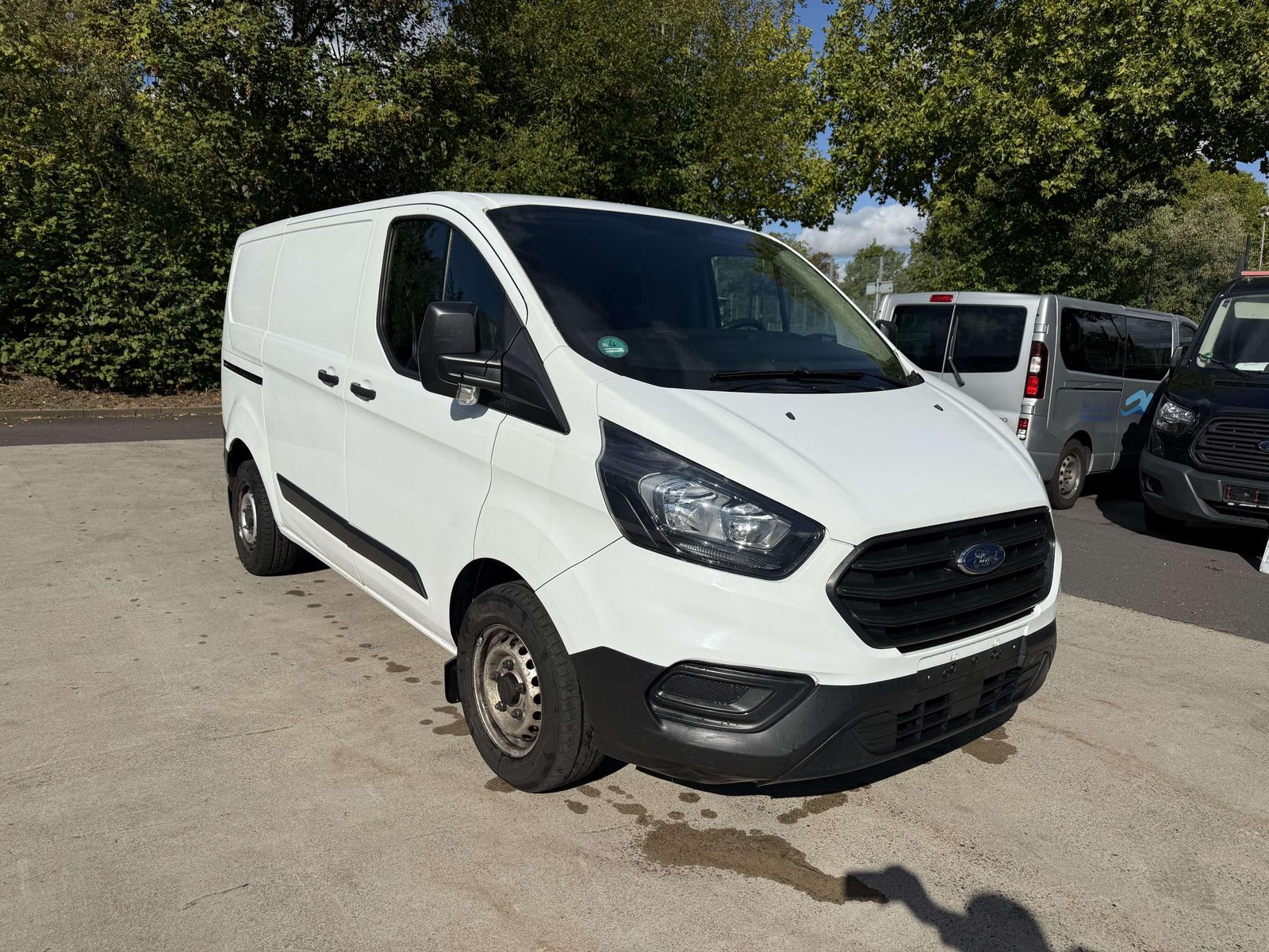 Ford Transit Custom - 1
