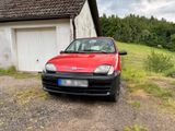 Fiat Seicento - Fiat Seicento Gebrauchtwagen
