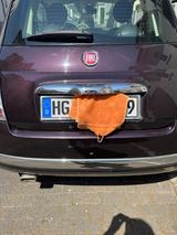 Fiat 500 1.2 8V Limited Edition Limited Edition