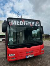 MAN A21 Lions City Stadtbus - MAN Lion