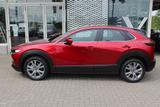 Mazda CX-30 M-Hybrid G-150 AWD AT Selection ACT-P NAVI - Mazda CX-30: Selection