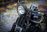 Harley-Davidson FLSTS - HARLEY-DAVIDSON MOTORRAD