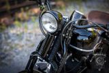 Harley-Davidson FLSTS - HARLEY-DAVIDSON 2005