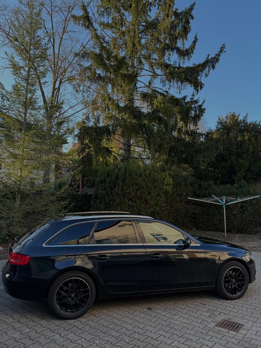 Audi A4 2010 — photo 6