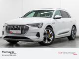 Audi e-tron 50 Q S LINE MATRIX PANO BuO HuD KAMERA - weiße Audi e-tron