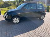 Volkswagen VW Lupo 1.4 tdi - Volkswagen Lupo mit Diesel-Antrieb: 1.4