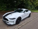 Ford Mustang 5.0 V8 MagneR/original/EU-Fzg/unfallfrei - Ford Mustang Gebrauchtwagen in Stuttgart
