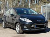 Ford Fiesta 1,25 60kW Trend Trend - Ford Fiesta aus 2009: 1.6