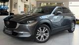 Mazda CX-30 Selection AWD BOSE Keyless LED AHK SHZ Nav - Mazda CX-30 in Hannover