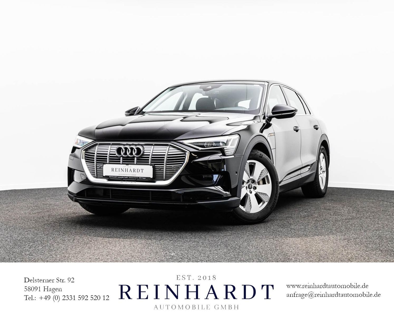 AUDI E-TRON 50 QUATTRO LED/TEMPOMAT/KAM./AIR-SUS/DSP