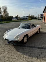 Alfa Romeo Spider in Weiß - Alfa Romeo aus 1979