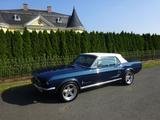 Ford Mustang GT Cabrio 6,4 ltr. Top Restauriert - Ford Mustang aus 1967 mit Benzin-Antrieb: Cabrio