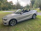 BMW 218i Cabrio Sport Line,unfallfrei,Leder,KAMERA!! - BMW 218 von privat