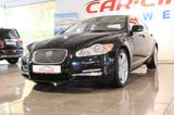 Jaguar XF 3.0 V6 Diesel Premium Luxury *Navi*Navi*RFK* - Jaguar XF: Premium Luxury