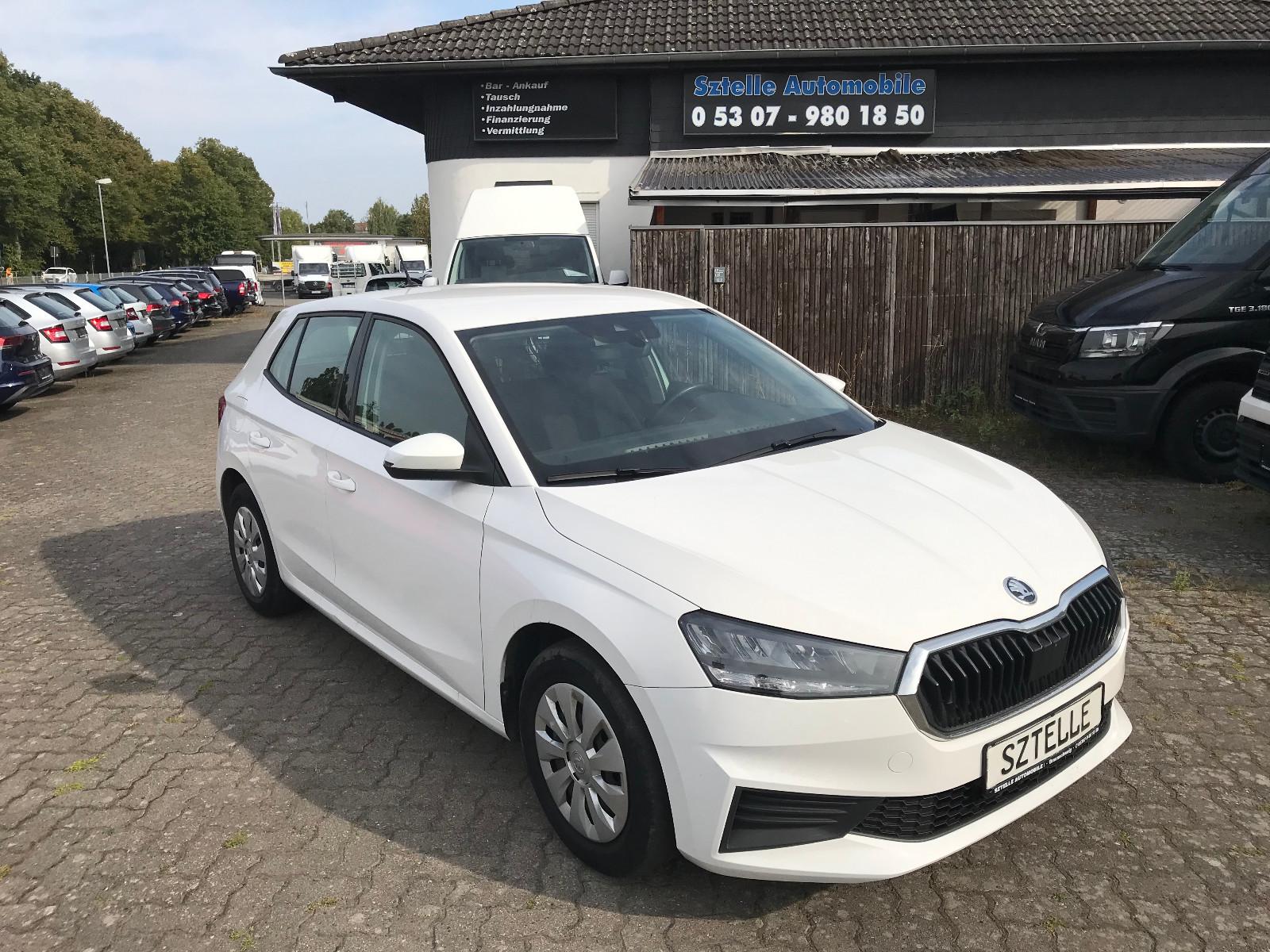 Skoda Fabia 1.0 Active *LPG-UMBAU*