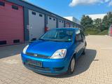 Ford Fiesta Viva X - Ford Fiesta: Viva X