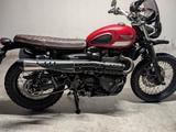 Triumph Street Scrambler Top Zustand Vance&Hines,Fox - TRIUMPH STREET