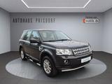 Land Rover Freelander 2 SE SD4 Automatik/Leder/Xenon/RFK - gebrauchte Land Rover Freelander aus dem Jahr 2012