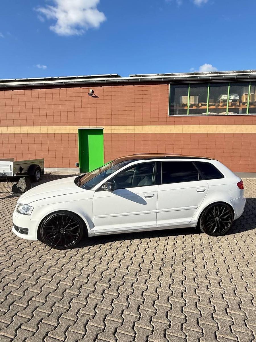 Audi A3 2010 — вигляд ззаду