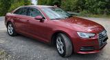 Audi A4 40 TFSI S tronic -2.0 - Audi A4: Rot