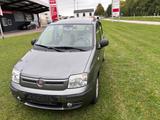 Fiat Panda 1.2 8V Dynamic - gebrauchte Fiat Panda aus dem Jahr 2010