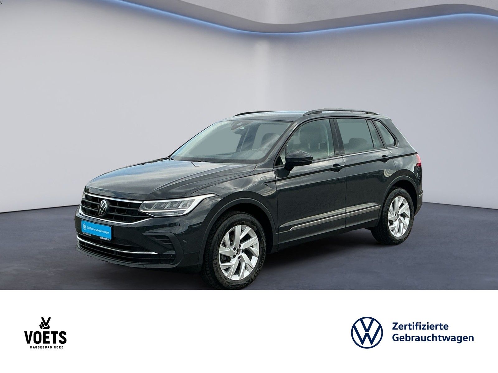 Volkswagen Tiguan Life 4Motion 2.0 TDI DSG LED NAVI SHZ PDC foto 2
