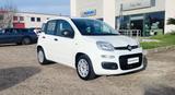 Fiat Panda 1.0 firefly hybrid s&s 70cv - Fiat Panda Cabrio Gebrauchtwagen