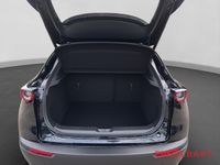 Mazda CX-30 - Vorschau Bild 13