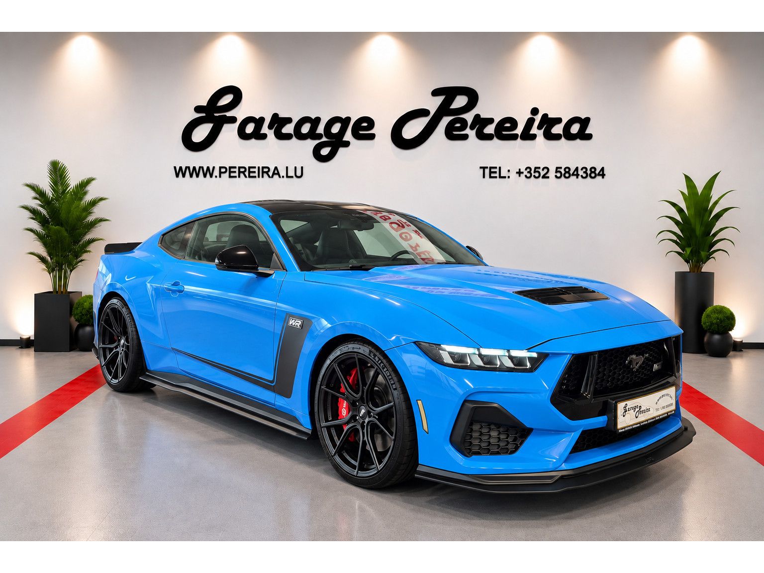 Ford Mustang 5.0 V8 GT LIMITED EDITION WR N°006 GARAN