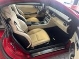 Mercedes-Benz SLK 200 BlueEfficiency Roadster(Panorama-Vario.) - Mercedes-Benz SLK 200: Rot