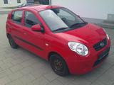 Kia Picanto 1.1 Attract - Kia Picanto Attract mit Benzin-Antrieb