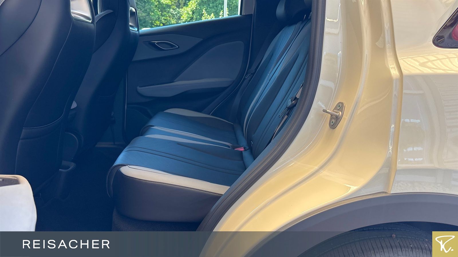 BYD DOLPHIN SURF