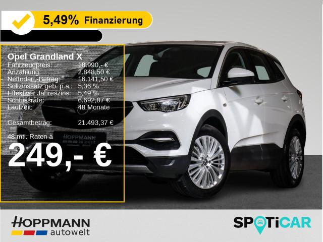 Opel Grandland X Innovation*Navi*LHZ*SHZ*PDC*LED*