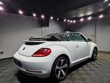 Volkswagen Beetle Cabriolet Allstar BTM 1.2 TSI|AUTOM|LEDER - Volkswagen Beetle: Cabrio
