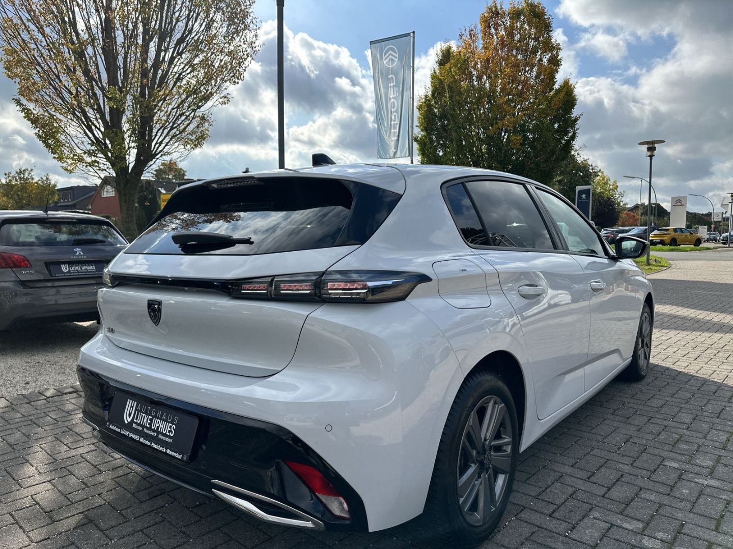 Fahrzeugabbildung Peugeot 308 Allure Blue HDi 130 EAT8 Navi 360 Kamera ACC