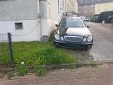Mercedes-Benz mercedes benz e320 cdi 204 PS s211 W211 fa... - Mercedes-Benz E 320 in Wuppertal