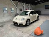 Volkswagen Beetle 1.4 Freestyle Klima PDC SHZ ABS 92.250 km - Volkswagen New Beetle mit Benzin-Antrieb: Limousine