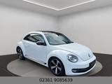 Volkswagen Beetle Sport 2.0 Klimaaut/Leder/Navi/Bi Xenon