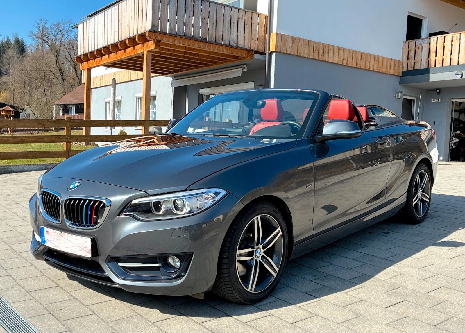 BMW 220d Cabrio Sport Leder Xenon Windschott Navi