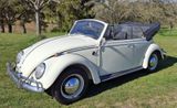 Volkswagen VW Käfer Cabrio 1300 Baujahr 1966  perlweiß - aus 1966: Cabrio