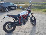 Ducati scrambler desert sled - DUCATI SL
