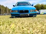 BMW E36 318Ti  frisch Tüv - BMW 318: E36 318ti