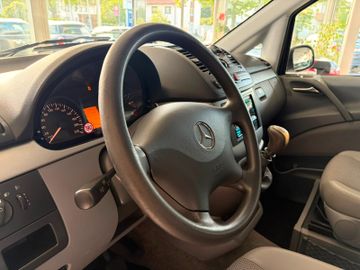 Mercedes Viano - 8