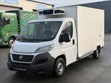Fiat Ducato*Eur6*Carrier*Klima*Navi*2 Verdampfer*FRC - Offers