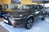 Lexus NX 300 h Style Edition AUTOMATIK / XENO / NAVI - Lexus NX 300: H